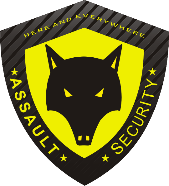 Assault-Security